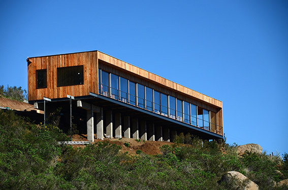 Lomas de Zapallar